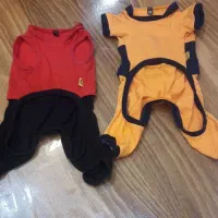 لباس پت|لوازم جانبی حیوانات|محمدشهر, همایون ویلا|دیوار