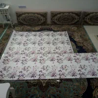 یک عدد پرده زبرا نو