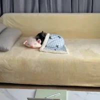 همخونه میپذیرم