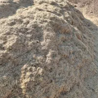 کاه لوبیا چیتی