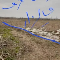 ۳۰۰مسکونی مناسب خیابان لاهیجان ابتدا محل گورابسر|فروش زمین و ملک کلنگی|رشت, بیجارپس|دیوار