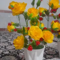 گل زیبا|گل و گیاه طبیعی|کوهدشت, |دیوار