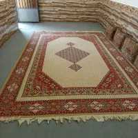 سویت شبانه