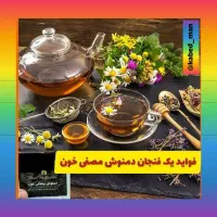 دمنوش مصفی خون درمان‌کبدچرب شما|خوردنی و آشامیدنی|تهران, چیتگر شمالی|دیوار