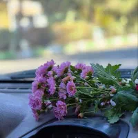 عکاسی خیابانی پاییزه کافه تولد