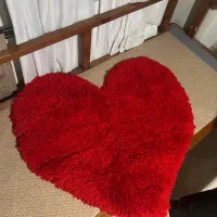پادری قلب رایگان