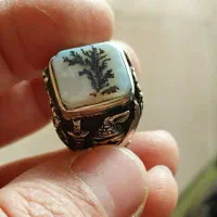 انگشتر شجر تک درخت و ماشین ظرفشوی