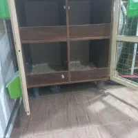 جفت کن|لوازم جانبی حیوانات|کرمان, |دیوار