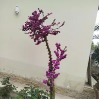 فروش آپارتمان۸۵متری ۲ خوابه در پیروزی