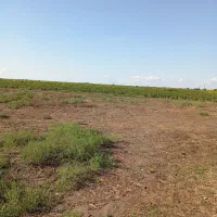 فروش زمین