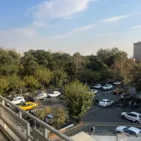 ۲۶۵متر بر کارگر بالای بلوار