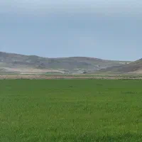 زمین کشاورزی آبی