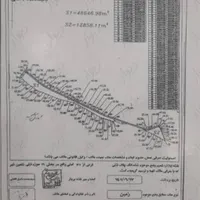 زمین توحید