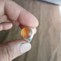 انگشتر شجر کهنه سنبه دار قدیمی|جواهرات|تهران, شوش|دیوار