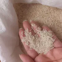 برنج دوباره برداشت (دونوج)بسیارخوش طعم وبو|خوردنی و آشامیدنی|کردکوی, |دیوار