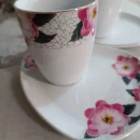 دوتا ماگ چینی