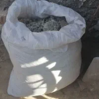 کود کفتر