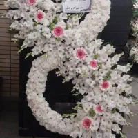 خرید و فروش|خدمات پذیرایی، مراسم|تهران, جوادیه|دیوار