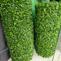 فروش فنس چمنی و پادری اسفنچی