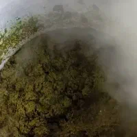 سبزیجات و ترشیجات مرباجات|خوردنی و آشامیدنی|قائمشهر, |دیوار