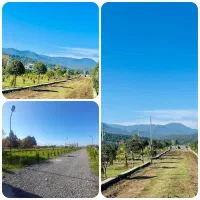 فروش-ویژه-زمین-شهرکی-با-چشم-انداز-جنگل-و-دریا