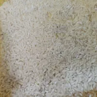 برنج اعلا ایرانی و لاشه دانه درشت|خوردنی و آشامیدنی|باغستان, |دیوار