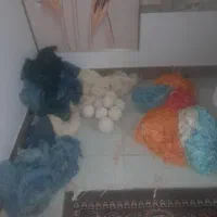 مقداری نخ قالی|ابزارآلات|کاشمر, |دیوار