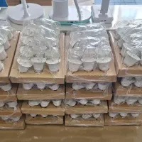لامپ و چراغ اضطراری(قیمت در توضیحات)