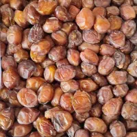 خرما خشک حشره زده|حراج|رامهرمز, |دیوار