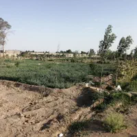 زمین کشاورزی در ده عباس