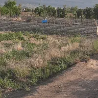 زمین کشاورزی در روستای جنت آباد باکاربری باغ|فروش زمین و ملک کلنگی|قنوات, |دیوار