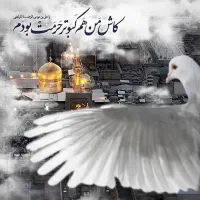 تور مشهد مقدس ریلی