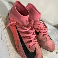 استوک سایر 41