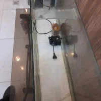 آکواریوم وموتورقوی وخیلی خوب است|ماهی|مشهد, آزادشهر|دیوار