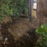 جوشکاری ونظافت و...