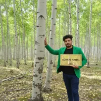 خرید مستقیم نهال صنوبر با تضمین کیفیت|خدمات باغبانی و درختکاری|ارومیه, |دیوار