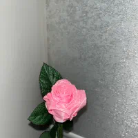 گل روبانی|گل مصنوعی|تهران, نیروی هوایی (پیروزی)|دیوار
