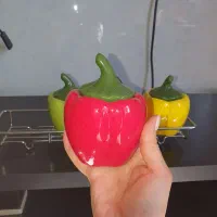 جا ادویه|ظروف نگهدارنده، پلاستیکی، یک‌بارمصرف|هشتگرد, فاز ۷ مهستان|دیوار