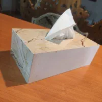 جا دستمال کاغذی شیک