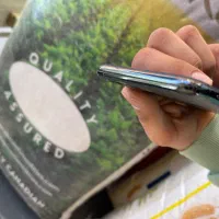 iPhone 11 Pro max|موبایل|سنندج, |دیوار