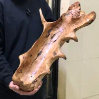 اردور خوری ظرف|ظروف سرو و پذیرایی|تهران, تهرانپارس غربی|دیوار