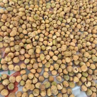 انجیر|خوردنی و آشامیدنی|نی‌ریز, |دیوار