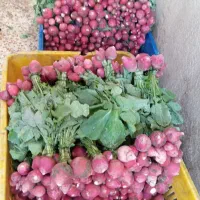 سبزی