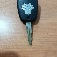 پیدا شده