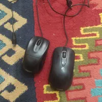 تعداد زیادی موس کامپیوتر