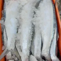 خارودرشت
