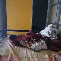 نظافت محل کار