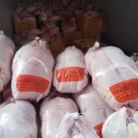 سینه مرغ منجمد