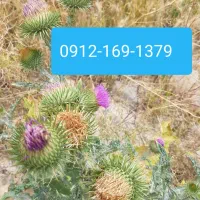 سیم کارت کد یک