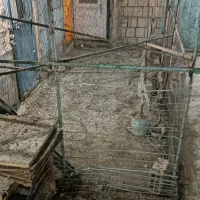 کودکیوتر